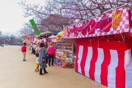 賞櫻走累了，肚子戰鼓大擂的時候，可以到公園內的小攤販買點日本傳統美食來補充能量。