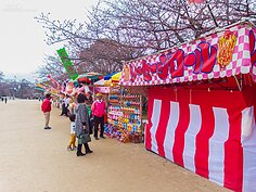 賞櫻走累了，肚子戰鼓大擂的時候，可以到公園內的小攤販買點日本傳統美食來補充能量。