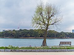 有著冬陽的午後，坐在面對大池的座位區甚麼都不做的發呆，是一種放空自己的感受。