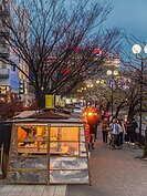 每間屋台賣的美食都不一樣，真的很難選擇。