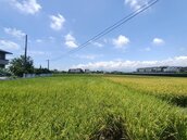 地主注意！農地未作農用遭查獲　就算移轉給配偶也難逃土增稅