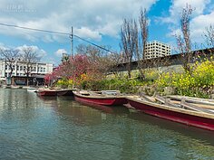柳川遊船沿途風光一景。