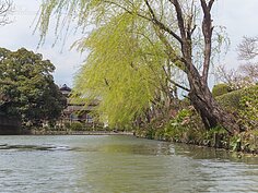 沿途大小柳樹不斷出現，正符合柳川這個名字。