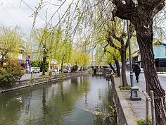 柳川河岸風光。