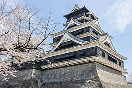 熊本城的石垣（圖中城堡下方牆壁）形狀較其他城池不一樣的地方在於為了阻止敵人進攻，牆壁的坡度由平緩到上部垂直，是十分特殊的設計。整座石垣由大小不一石塊堆砌而成，石塊與石塊間的縫隙極小，可阻止雜草附著叢生，增加石垣的壽命。