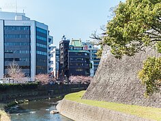 沿著熊本城的護城河開滿了櫻花。