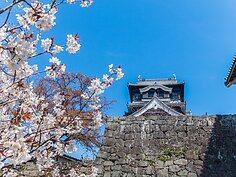 熊本城櫻花一景。