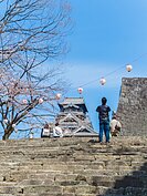 熊本城櫻花一景。