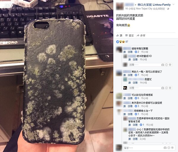 林口成為雙北市輕移民重地,但潮濕卻讓當地居民相當無奈。(翻攝自林口大家庭臉書社團)