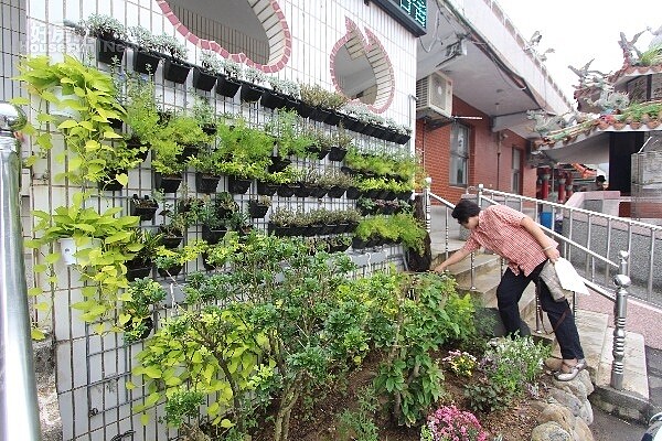 金瓜石青草體驗，景觀植生牆（圖／新北市政府城鄉發展局提供）