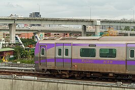 直達車的腰身都漆有紫色線條以及中文標示直達車的字樣。（好房網News記者張聖奕／攝影）