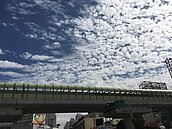 中市府力推捷運、雙港輕軌