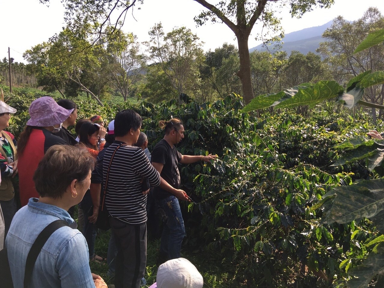 咖啡王子方政倫今赴花蓮瑞穗教咖啡農挑選適合的品種及烘焙咖啡。(記者陳麗婷/攝影)