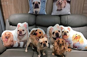 張可昀　小甜甜／買快樂不如買房子