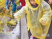 北市復育　都市賞螢不是夢