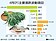 4月菜價大跌34％　客運漲近16％