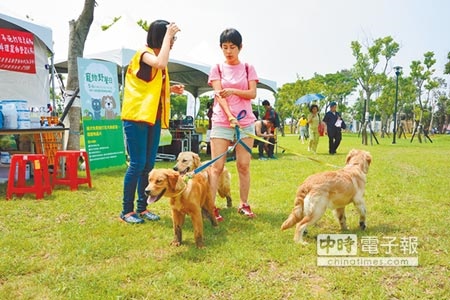 桃園農業博覽會園區「寵物野餐日」，免費提供貓犬植寵物晶片、狂犬病疫苗預防接種服務。（楊明峰攝）