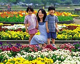 也想當母親　兩成OL想生不敢生