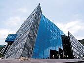 選給下一代的禮物　龜山島凍蒜