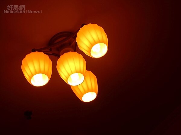 7. 鬱金香造型的燈具。