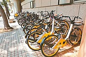 防oBike違停　北市擬增拖吊區