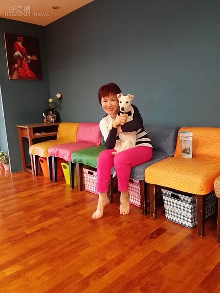 7. 休息區有六張色彩繽紛的座椅,狗兒Nike很喜歡在這邊玩耍。