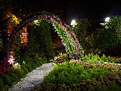 北市花卉大展　花博公園三大活動展出