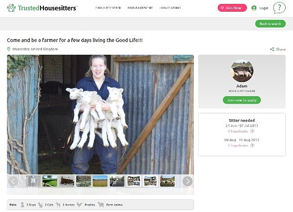 透過媒合平台Trusted Housesitters,僅需替屋主照顧毛小孩,就能換取免費住宿(圖/翻攝自Trusted Housesitters)