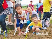 北海岸至東北角　接棒復育百合