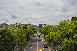 林木高聳道路筆直的中山北路三段，見證了歷史上許多關鍵時刻，包括日治時期全台各地原住民頭目前往台灣神社參觀、美軍協防台灣司令部的台美聯軍時代，以及曾經是夏季甲子園台灣選拔主戰場。到了國民政府撤退來台後，則是兩位蔣總統每日上班必經之路。