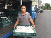 搶救蛋價　今起先冷藏五萬箱