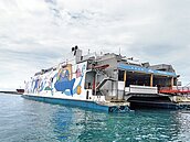 麗娜輪連夜趕回疏運　網友按讚