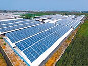 地方拚經濟　幫企業找錢