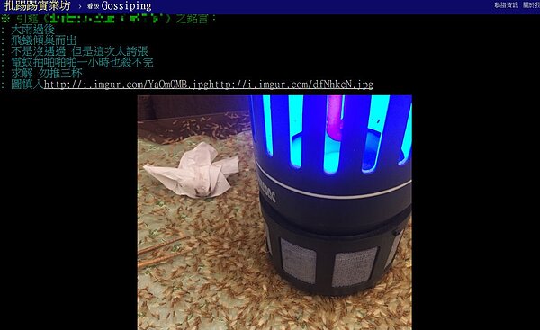 網友家出現大批飛蟻。(圖翻攝自PTT八卦版)