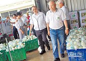 菜價漲…抓菜蟲不治標　林聰賢：政府要拉近產銷價格