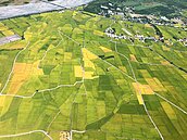 檢討7萬農地非法工廠　農委會2招解套