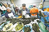 日本陷入海苔荒　連續4年上漲