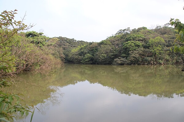 農場內以低度開發、禁用除草劑為原則，保留原始的溼地、蓄水池，維持生態多樣性。 記者曾健祐／攝影