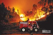 葡萄牙森林大火　奪62命
