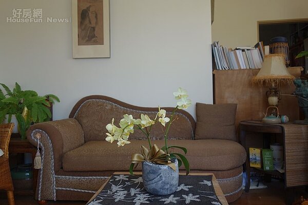 從自己的新書發表會搬回蘭花,作為布置。