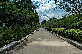 三張犁鐵道遺跡還有嗎？嚴格來說已經不存在，僅有當年鐵道寬的部分路線可以憑弔。這個是朝向光復南路的方向。