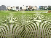 南投下起春雨　但集水區有限