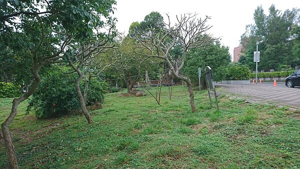 淡水文化國小南側空地。(新北市城鄉局提供)