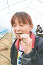 核災6年　哀哀福島人被喊「　某某菌」