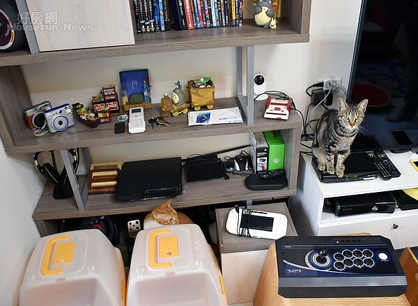 7. 除了玩具,辛卡米克電玩收藏也很驚人,幾乎各種遊樂器主機、搖桿一應俱全,遊戲片也是塞滿一整櫃。