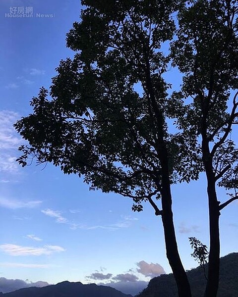 3-4.阿妹曾在臉書上貼出新家陽台照與窗外的綠意風景。(翻攝自張惠妹粉絲頁)