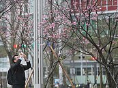 吳德榮：今晚變天轉濕冷！明低溫下探12度