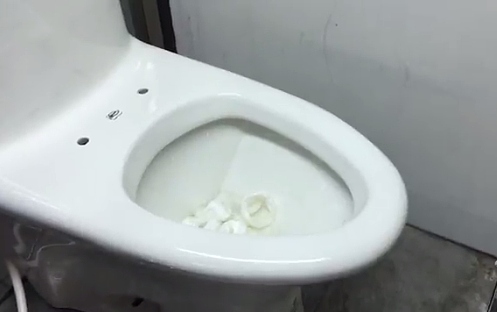 環保署推動衛生紙丟馬桶。（翻攝自環保署網站）