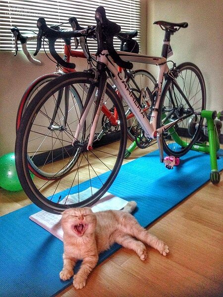 5.	Emma喜歡運動，角落放著兩台單車。
