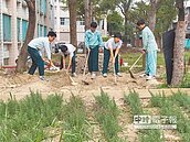 「阿肥超肥」大雅學生喜見香草長大